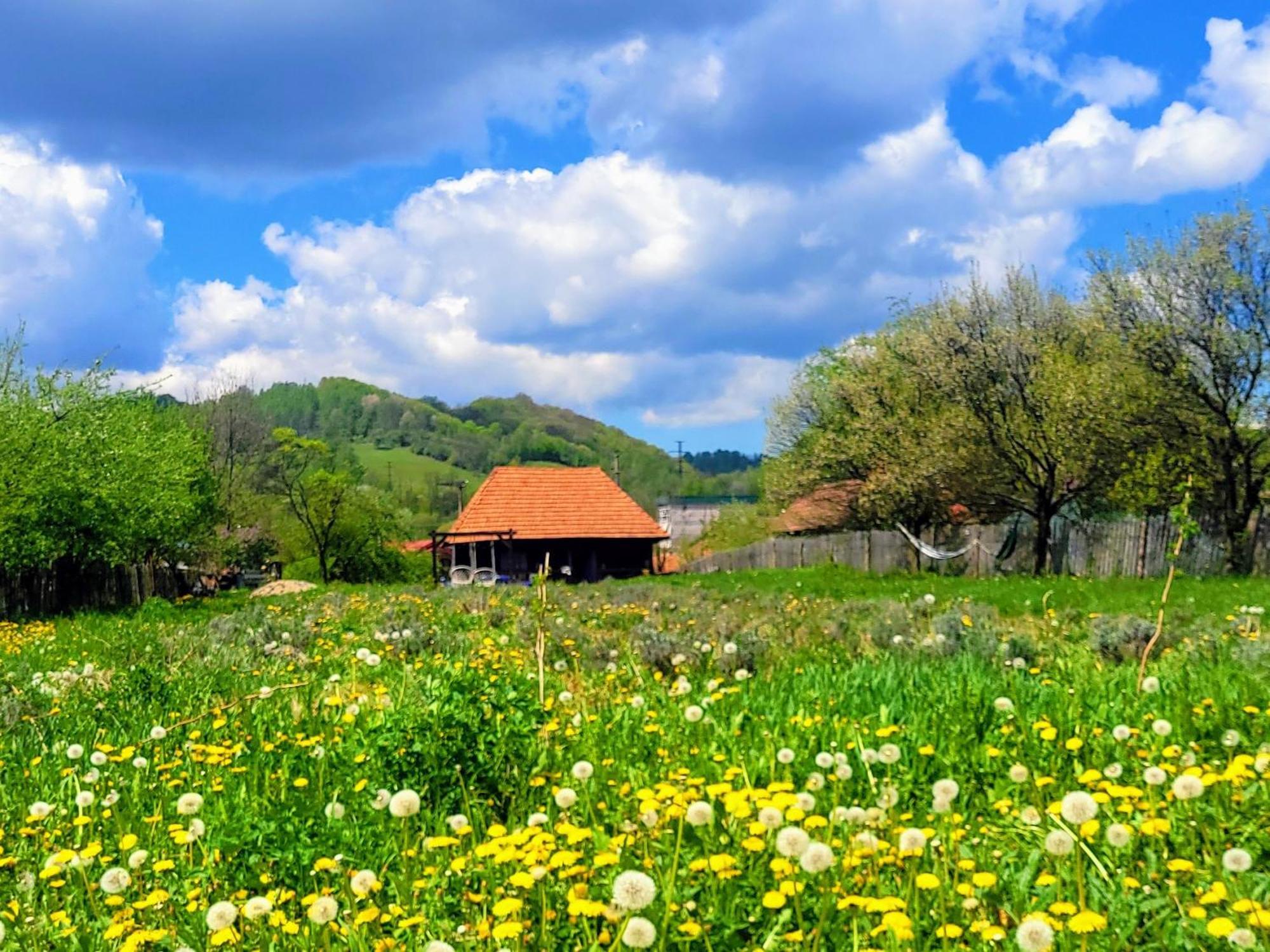 Casa Cu Lavanda เปโตรชานิ ภายนอก รูปภาพ