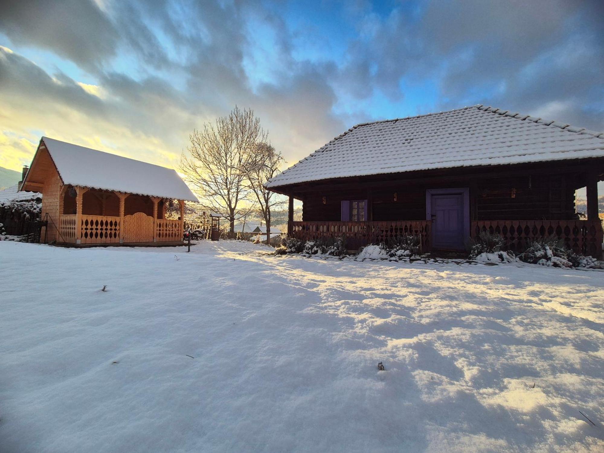 Casa Cu Lavanda เปโตรชานิ ภายนอก รูปภาพ